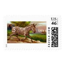 Zebra Postage Stamps