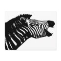 Zebra postcards by bubblegumdesigns Zebra postcards