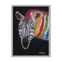Zebra Postcards