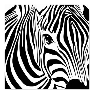 Zebra Poster print