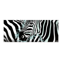 Zebra posters by studio43 Zebra posters