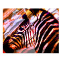 Zebra posters by nefera Zebra posters
