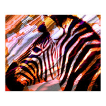 Zebra posters by nefera Zebra posters