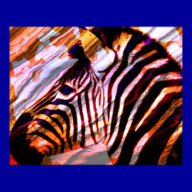 Zebra posters
