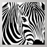 Zebra Poster