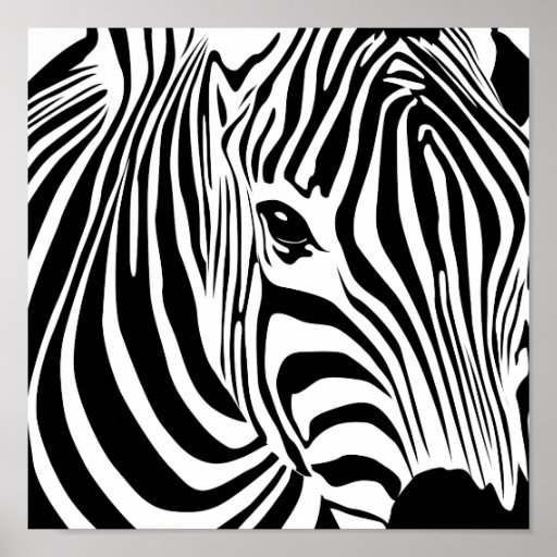 Zebra Poster