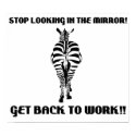 Zebra posters