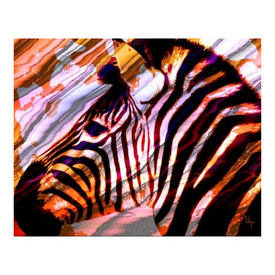 Zebra Poster by nefera