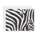 Zebra Print invitations by heatherannechaney Zebra Print invitations