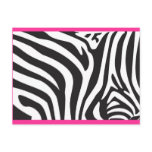 Zebra Print Postcards
