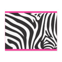 Zebra Print Postcards