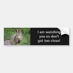 Zebra profile bumper sticker