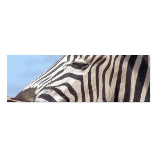 Zebra Profile Card Business Card Template (back side)
