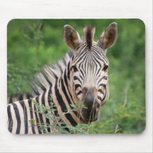 Zebra profile mousepad