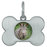 Zebra profile pet name tag