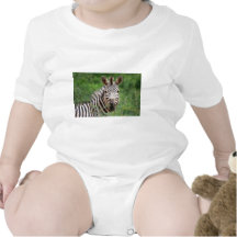 Zebra profile shirt