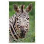 Zebra profile custom stationery
