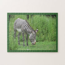 Zebra Puzzle puzzles