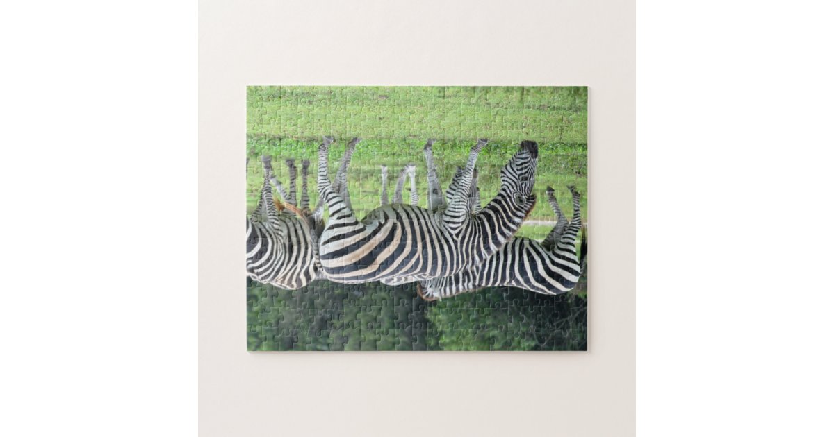 Zebra Puzzle Zazzle