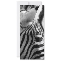 Zebra rack cards by lokanin Zebra rack cards