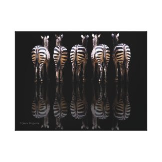 Zebra Reflections wrapped canvas