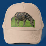 Zebra Safari Hat hats