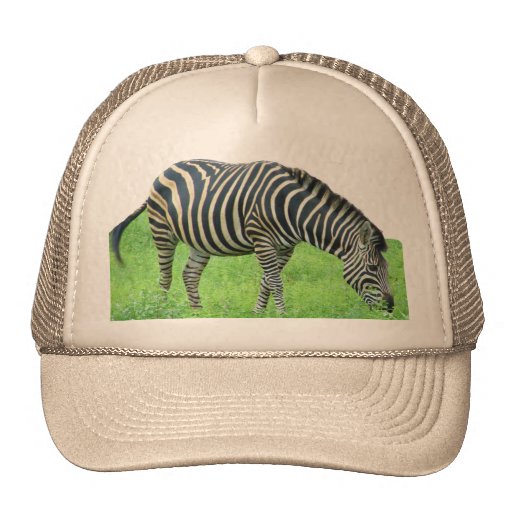Zebra Safari Hat