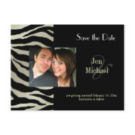Zebra Save the Date Photo postcards, postcard