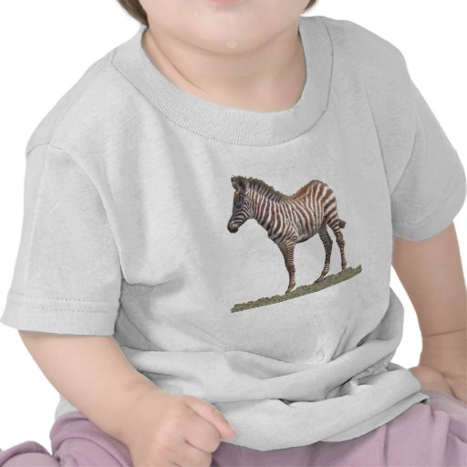 Zebra Shirt