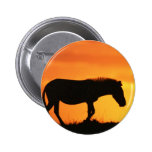 Zebra Silhouette Pins