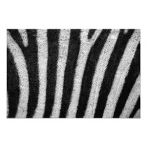 Zebra Skin Photographic Print