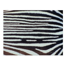 Zebra skin surface post card