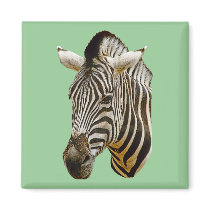 Zebra Square Magnet magnets