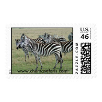Zebra Stamps by lcfuzz Zebra Stamps
