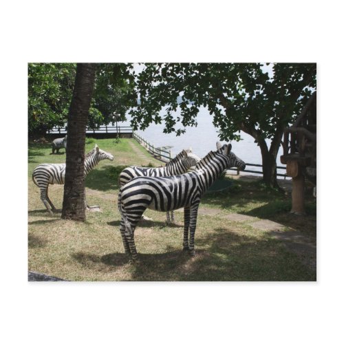 Zebra statues in a park in Tacloban City, Philippines