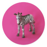 ZEBRA stickers