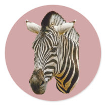 Zebra Stickers