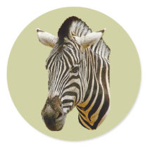 Zebra Stickers