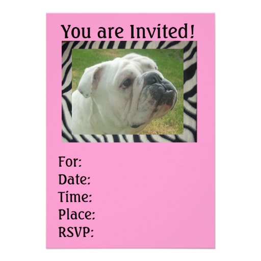 Zebra Stripe English Bulldog party Invitations