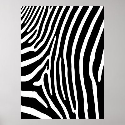 Black & white zebra stripe pattern available in large format sizes.