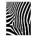 Zebra Stripe Print (black & white)