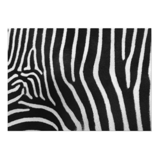 A Zebra Stripe