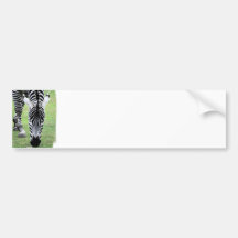 Zebra Stripes Bumper Sticker