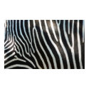 Zebra Stripes posters