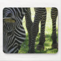 Zebra Stripes, TL Cox mousepads
