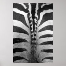 Zebra Strips Print