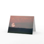 Zebra Sunset Card cards