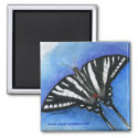 Zebra Swallowtail magnet