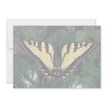Zebra swallowtail, Ontario, Canada Custom Announcement