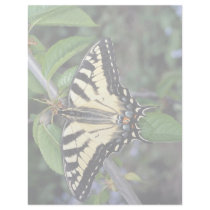 Zebra swallowtail, Ontario, Canada Letterhead